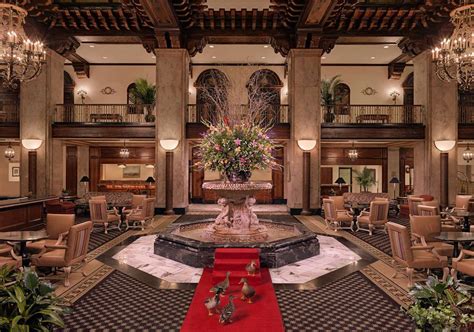 Peabody hotel memphis ducks - In Memphis, Tennessee, there exists a tradition that combines elegance, charm, and a touch of whimsy – the March of the Peabody Ducks.Within the grand Peabody Hotel, this unique event is an ...